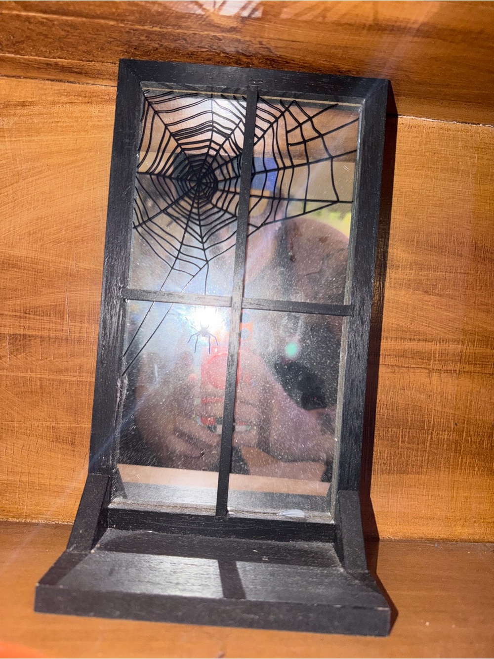 Hyde & EEK Black Spiderweb Window Accent Mirror